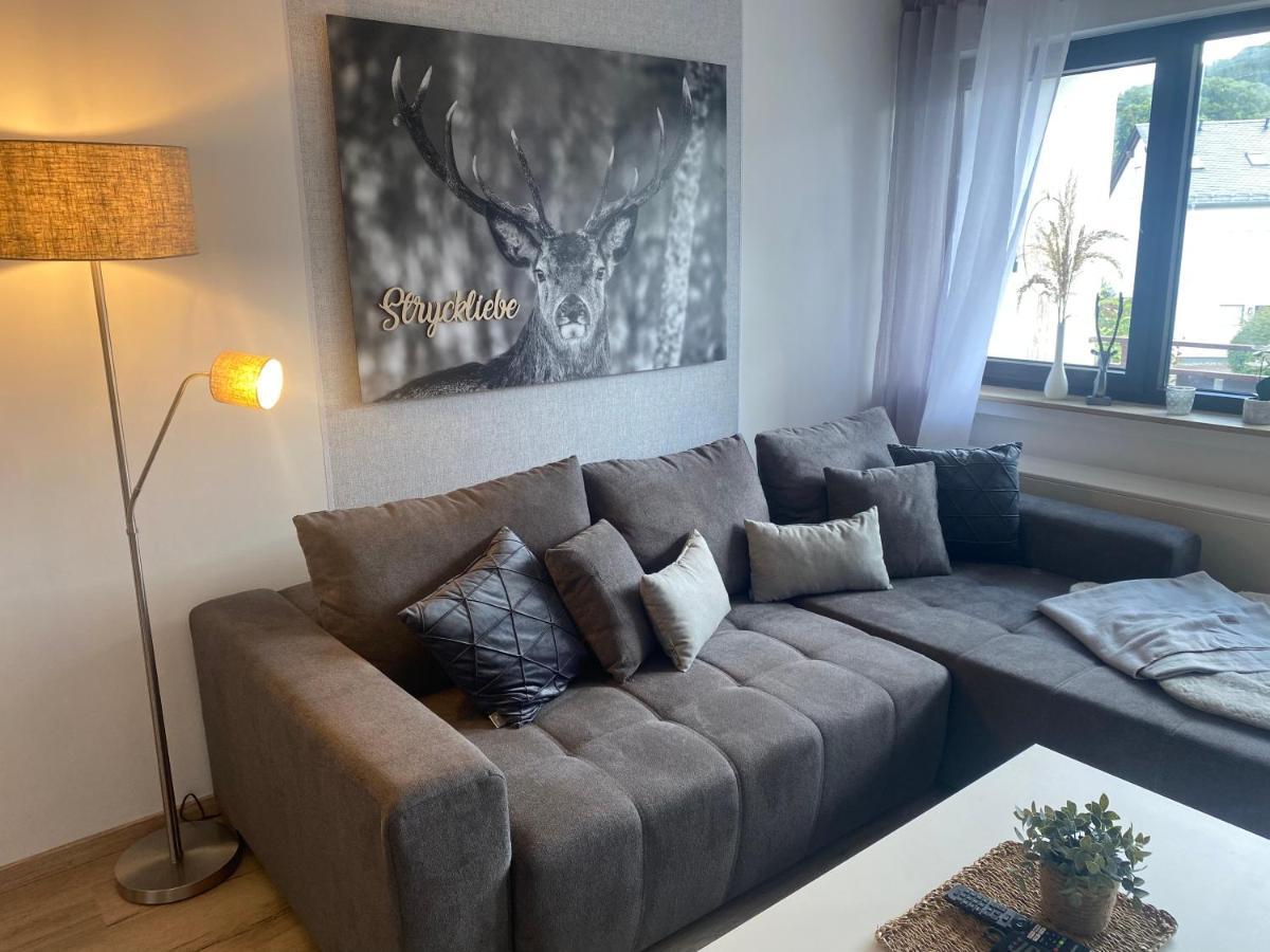 Ferienwohnung Stryckliebe Willingen  Extérieur photo